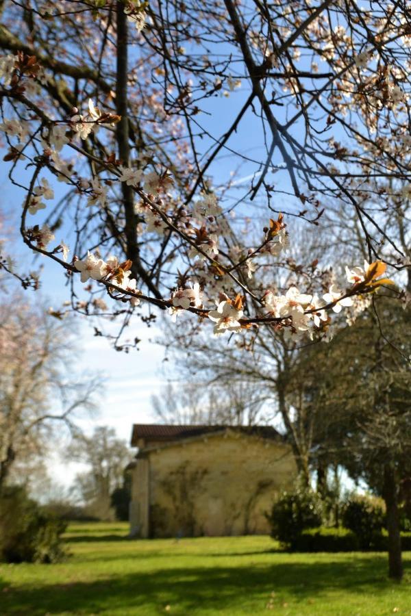 Relais De Margaux - Hotel & Spa Luaran gambar